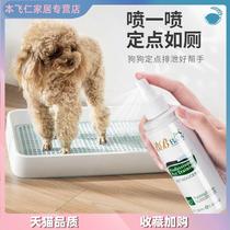 Boot Bears Teddy Inducers Puppies Spray on Toilet Stool Assist Defecation Puppy Defecation puppy bowels