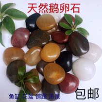 Natural Rain Flower Stone original stone boutique decorative fish tank Flower Pot Pot meat Horticultural Park paving potted pebbles landscaping