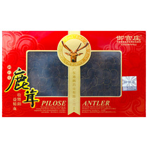 Gongguan Zhuang Antler slice blood tip sheet 5 gr boxes