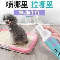 Pet kitty dog-inducing agent bowels on the toilet pee urine pull poop positioning fixed point defecation training liquid guide