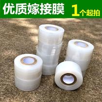Graft film special film fruit tree wound film Self-adhesive seedling-free knotted bandaged with PE stretch strap free of tear