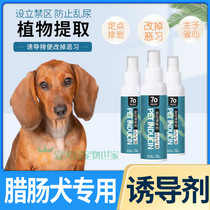 Sausage Dog Special Dog-Inducing Agent Toilet Defecation and Pinpoint Big Small And Medium Pull Shit Avoid Dog Defecation