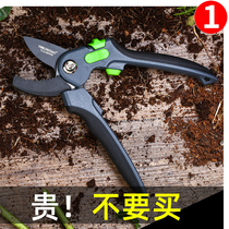 Flower scissors Gardening scissors Household flowers pot repair garden forest Fruit tree pruning branches German pruning pruning scissors