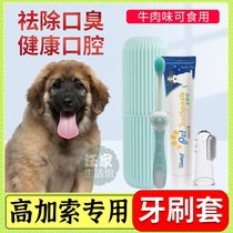 Caucasus special Divine Instrumental Oral Large Dog To Tooth Scale Removal Dental Calculus Pooch Toothbrushes Toothpaste Suit Fingertips