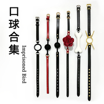 High-end sm silicone gag bite ball collection dog bone role-playing sm tuning forced mouth opening props
