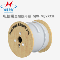 Hengtong Optoelectronics Broadband Optical Cable Indoor Metal Butterfly Cable Single Mode 1 Core 2 Core Network Communication Optical Leather Cable Telecommunications Optical Fiber Entry Line GJXH GJYXCH