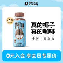 Plant Label Fresh Coffee Coconut Broccoli coffee Coconut Milk Drink I.e. Drink Bottled Silk Slip Iron Coffee 285ml * 6