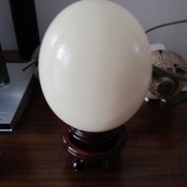 Ostrich eggshell painting carving Jiapin single eggshell without base