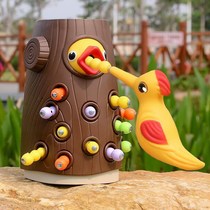 Woodpecker Toys Intelligence Development Bugs Educational Toys Baby Boys and Girls Children Fishing Magnetic Catch