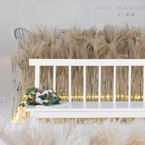Pampas Grass Decor White Color Fluffy Natural Dried Flowers