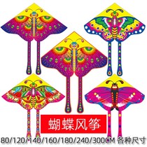Weifang children's kite new hot print bright cloth kite peacock butterfly triangle kite small kite