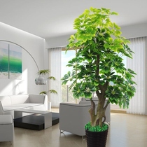 Simulation of money trees interior decoration living room fake flowers large-scale potted plants small wealth trees simulation of green plants