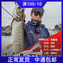 Double Mastail Soft Bait Domesticated Fish Master Pour Out The Bait Black Pit Steal Donkey Lead Leptoe Leptoe Bass Fish Mandarin Fish Teething Special