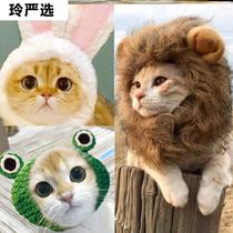 Cat lion headgear rabbit ear hat Christmas headdress funny headdress pet cute cat cat birthday hat