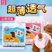 Dog health pants diapers bitch aunt towel menstruation pet diapers male dog health and safety pants for women