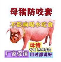 Pig mouth sleeve sow anti-bite set anti-bite pig set cows mouth set to prevent eating or biting