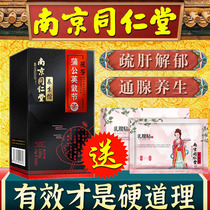Tongrentang Dandelion loose knot tea Breast nodules hyperplasia and lumps Rose poria relieving liver and relieving depression and losing fire tea