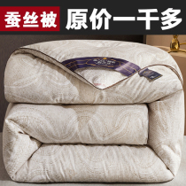 Antarctic silk quilt winter quilt thickened warm winter cotton quilt core spring and autumn quilt double single dormitory winter