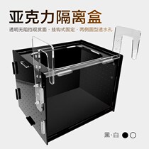 Fish tank isolation box acrylic black white incubator box aquarium small fish breeding Fry breeding box