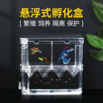 Anchovy birthing box fish tank tropical fish guppies breeding box outside tank incubator box small fish isolation box