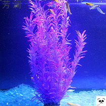 Jichang fish tank decoration simulation aquatic grass aquarium landscape fake aquatic grass decoration soft aquatic flower plastic aquatic grass