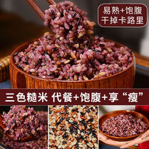 Weight loss coarse grain rice brown rice weight loss rice fat loss red rice black rice brown rice fitness pregnant women grain three color germ Rice