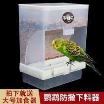 Parrot automatic feeder automatic feeder splash-proof and leak-proof sprinkler bird feeder tiger skin peony box