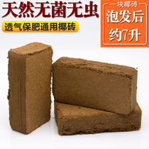 Imported Coconut Broccoli Coconut coconut Coconut Pink Brick 650g Vegetable Cultivation Earth Sterile Orchid Soil Trophic Soil Reptile Mat