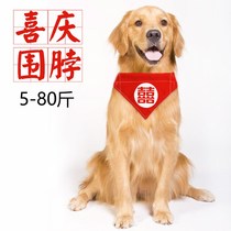 Pet dog cat wedding ceremony festive triangle scarf golden hair Kickie Teddy mouth towel collar