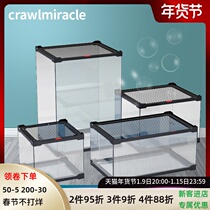 CM glass climbing tank gougong lizard horned frog Scorpion spider tortoise rainforest tank water Turtle Ecological Aquarium box