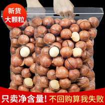 New Macadamia nut bulk cream flavor 500g Summer fruit pregnant women dried fruit kernels Nut snacks whole box 5 kg 10 kg