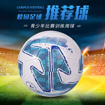 Speed Ruida Football Children No. 4 Primary School 4 Examination Special Ball Adult No. 5 Children Training Ball ZQ