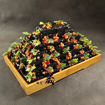 Simulation large stinky tofu model raw embryo stinky dry fake stinky tofu model sample display food mold custom