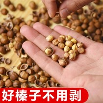 2021 hand pat hazelnut northeast Tieling specialty wild plain fried open thin skin small hazelnut dried fruit nuts