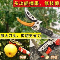 High-altitude fruit shearing branch special pruning knife pruning artifact Longan Lychee picking fruit tree pruning scissors Gardening scissors