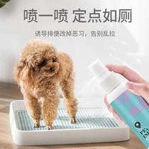 Dog toilet inducer defecate positioning toilet agent dog shit urine urine pet defecation inducer