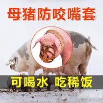 Pig mouth cage set Pig mouth sow mouth set Bite-proof set Pig cub piglets bite-proof frame Cattle and horses mouth set Breeding pig mouth cover