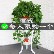 -Flower pot stand floor-to-ceiling style multi-storey indoor special space green basket flower stand living room balcony simple-