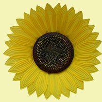 Sunflower props dance hand holding flower Games opening ceremony entrance National Day performance smiley face red flag sunflower
