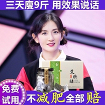 Nan Huaijin belly button paste Ai navel paste Xie Na with the same type of dampness Qi moxibustion paste wormwood leaves Palace cold slimming and dampness artifact