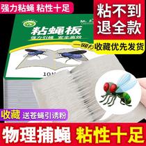 Sticky Fly Killer Lamp Special Sticky Fly Paper Sticky Insect plate Fly Paper Mosquito Stick Fly Cardboard Disenchanted Mosquito lamp Sticky Fly Insect