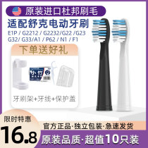 Adapting Sakypro Shuke electric toothbrush head replacement e1c e1p g22g2212g2232g23t3