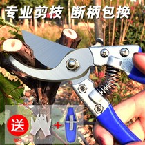 Garden flower scissors horticultural Fruit tree pruning shears knife picking labor-saving household strong scissors tree branch shears artifact