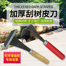 Bark scraper scraping tree bending bark scraping shovel bark skin planing bark has been ground to prevent insect pests and scraping disease