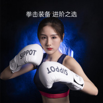Boxing gloves adult men and women professional training sandbag Sanda fighting Muay Thai fighting household fitness boxing suit