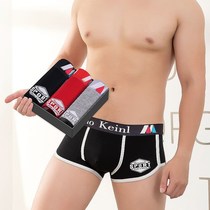 New fit-set mens underwear flat corner cotton texture underpants Mens youth Students sport Four-corner pants head shorts male