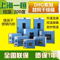 Shanghai DHG-9030A electric heating constant temperature blast drying oven laboratory stainless steel food oven