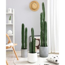 Nordic decorative plant net red large-scale simulation cactus cactus column measuring sky ruler fake potted decoration floor-to-ceiling green plant