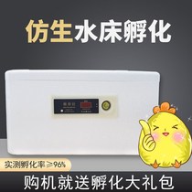 (High hatching rate) water bed incubator small household automatic intelligent incubator chicken mini incubator