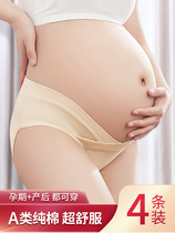 Xi pregnant women underwear cotton Autumn Spring and Autumn supplies summer low waist trousers head pregnancy middle and late underwear large size female